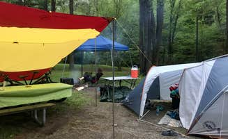 Travis S.'s photo at Clear Creek State Park Campground near Punxsutawney, PA