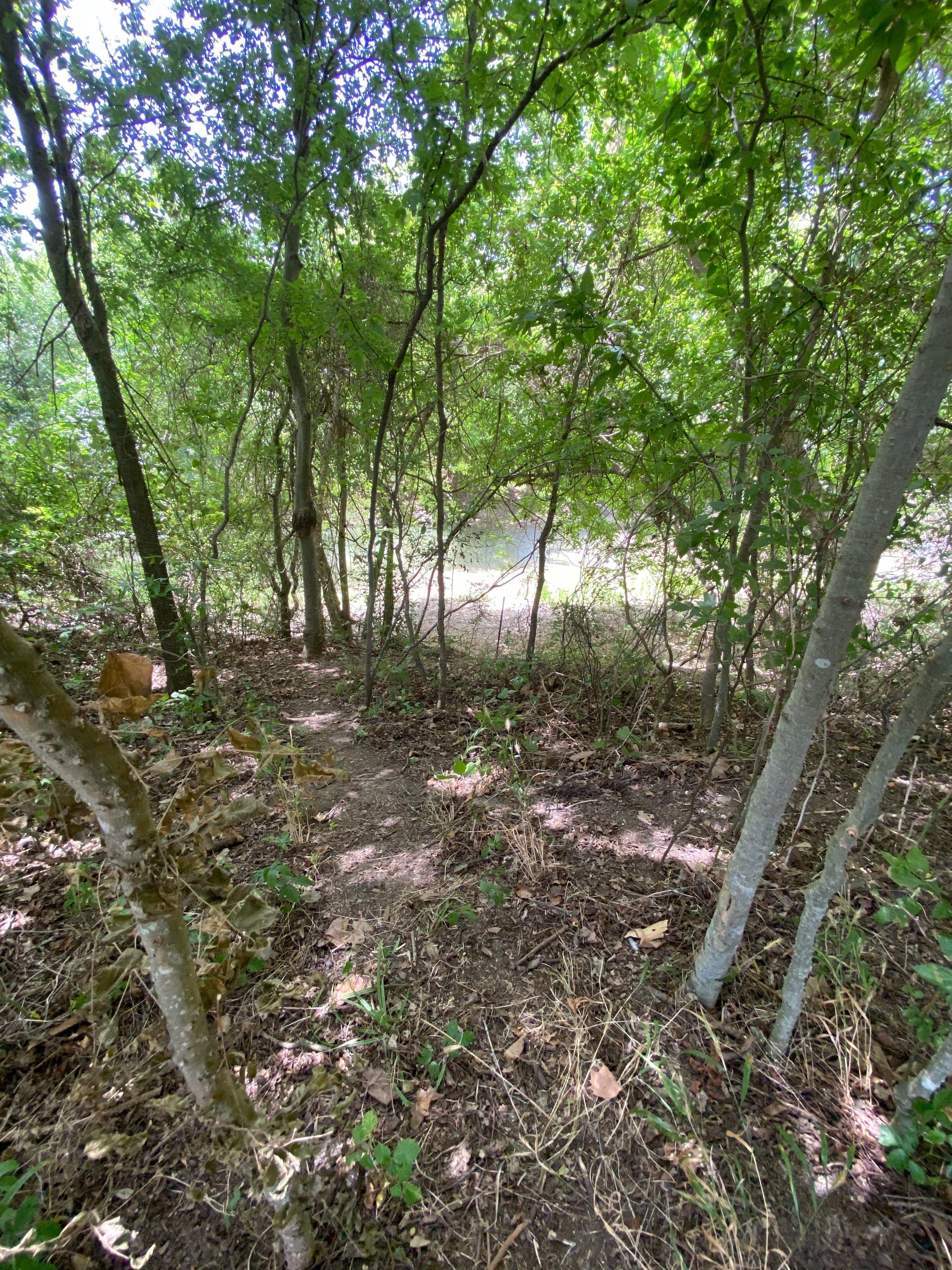 Camper-submitted photo at Downtown Texas RV Park near Cameron, TX