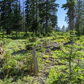 Review photo of Bone Spring Campground by Nick B., July 5, 2020