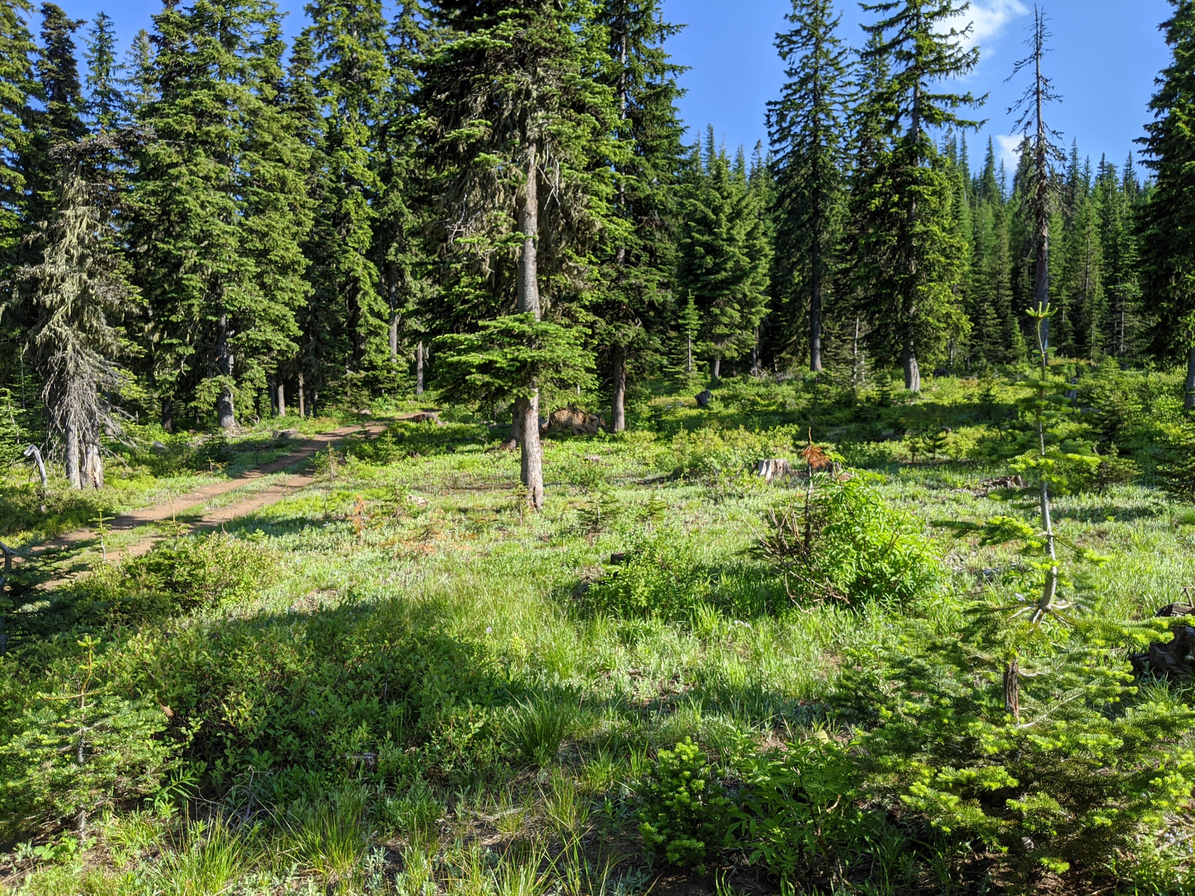 Camper-submitted photo at Bone Spring Campground near Dixie, WA