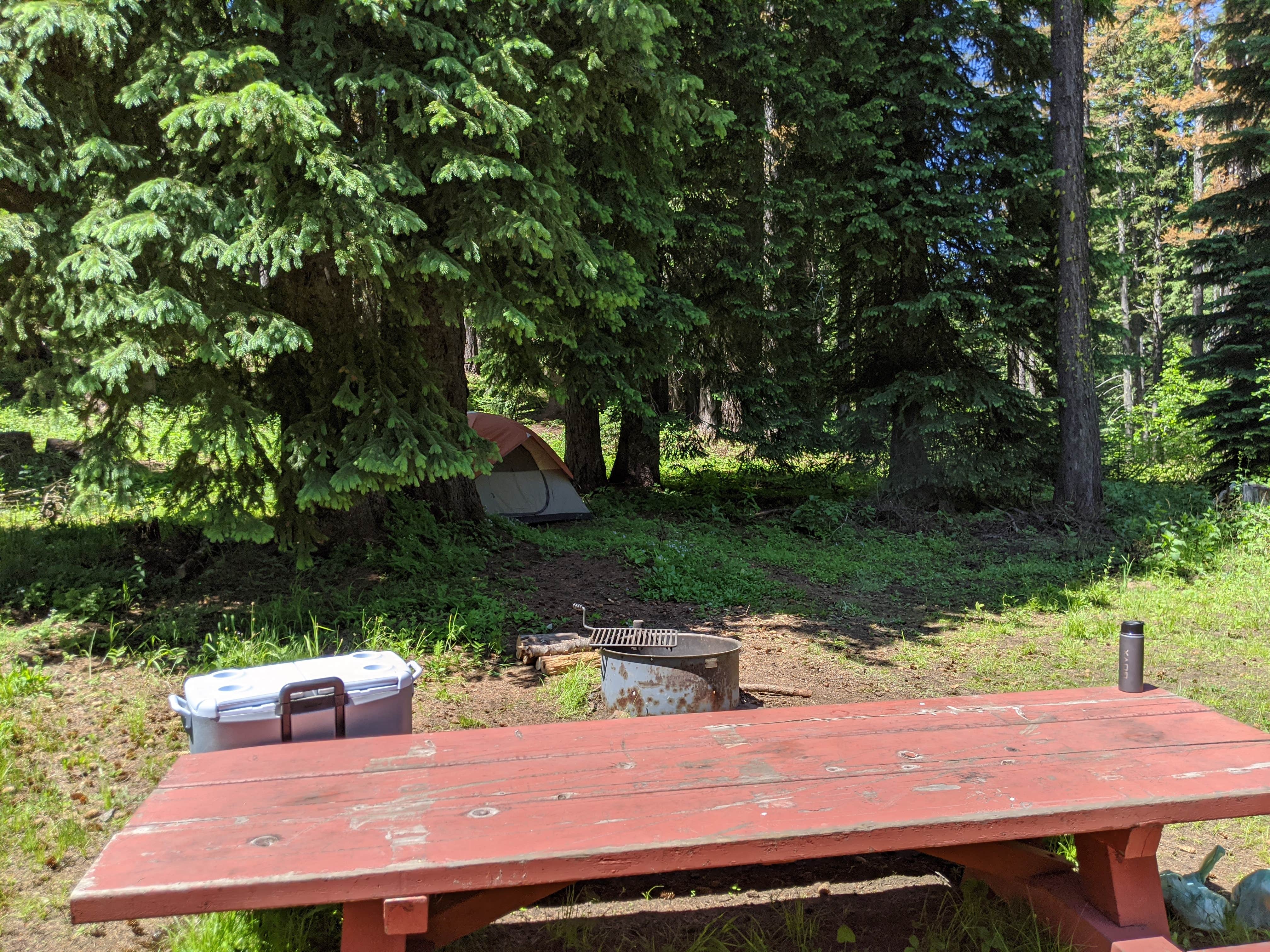 Nick B.'s photo of tent camping at Timothy Spring Campground near Dixie, WA