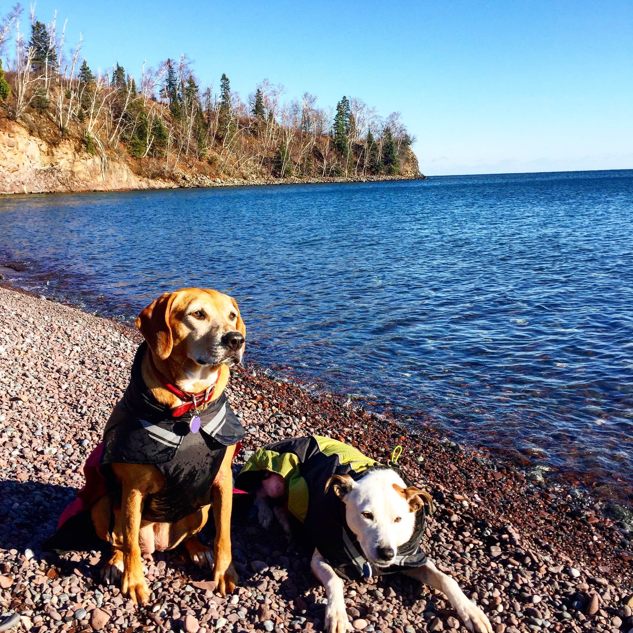 Jennifer H.'s photo of camping with pets at Split Rock Lighthouse State Park Campground in Minnesota