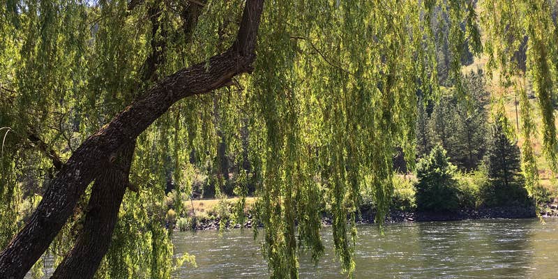 Camper submitted image from Clearwater Crossing RV Park