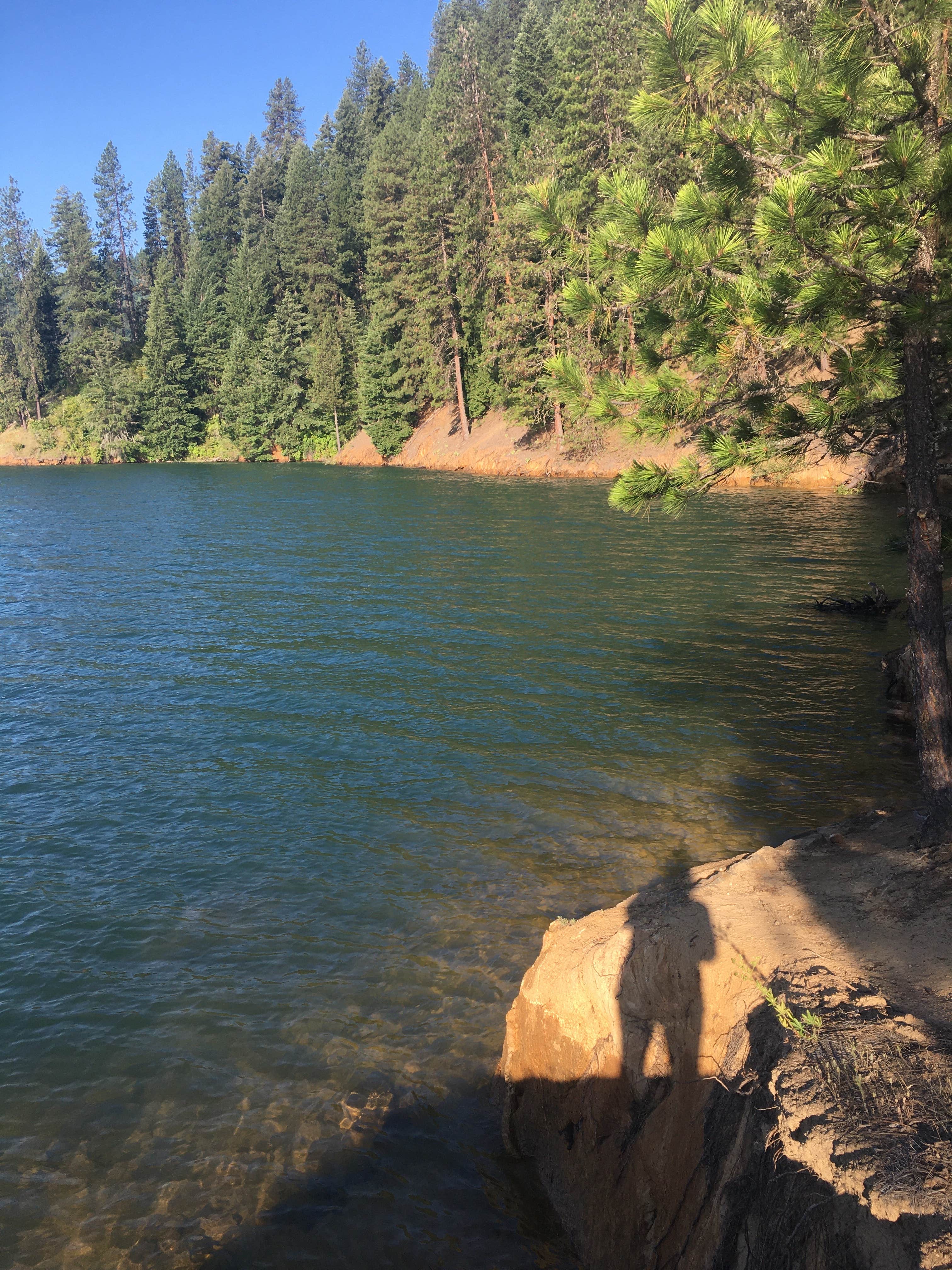 Camper submitted image from Mini camp 4.7 - 3