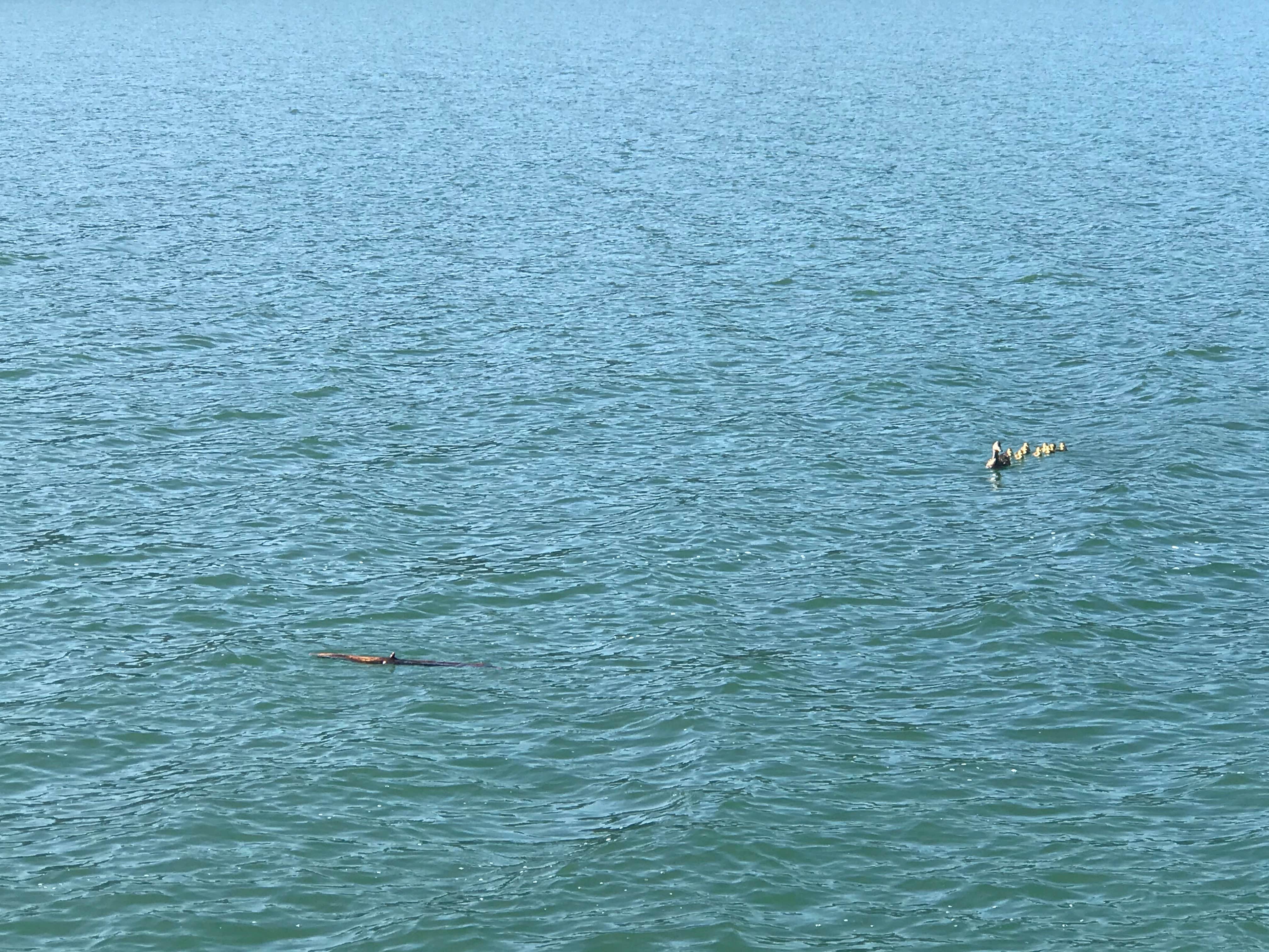 Camper-submitted photo at Mini camp 4.7 near Moscow, ID