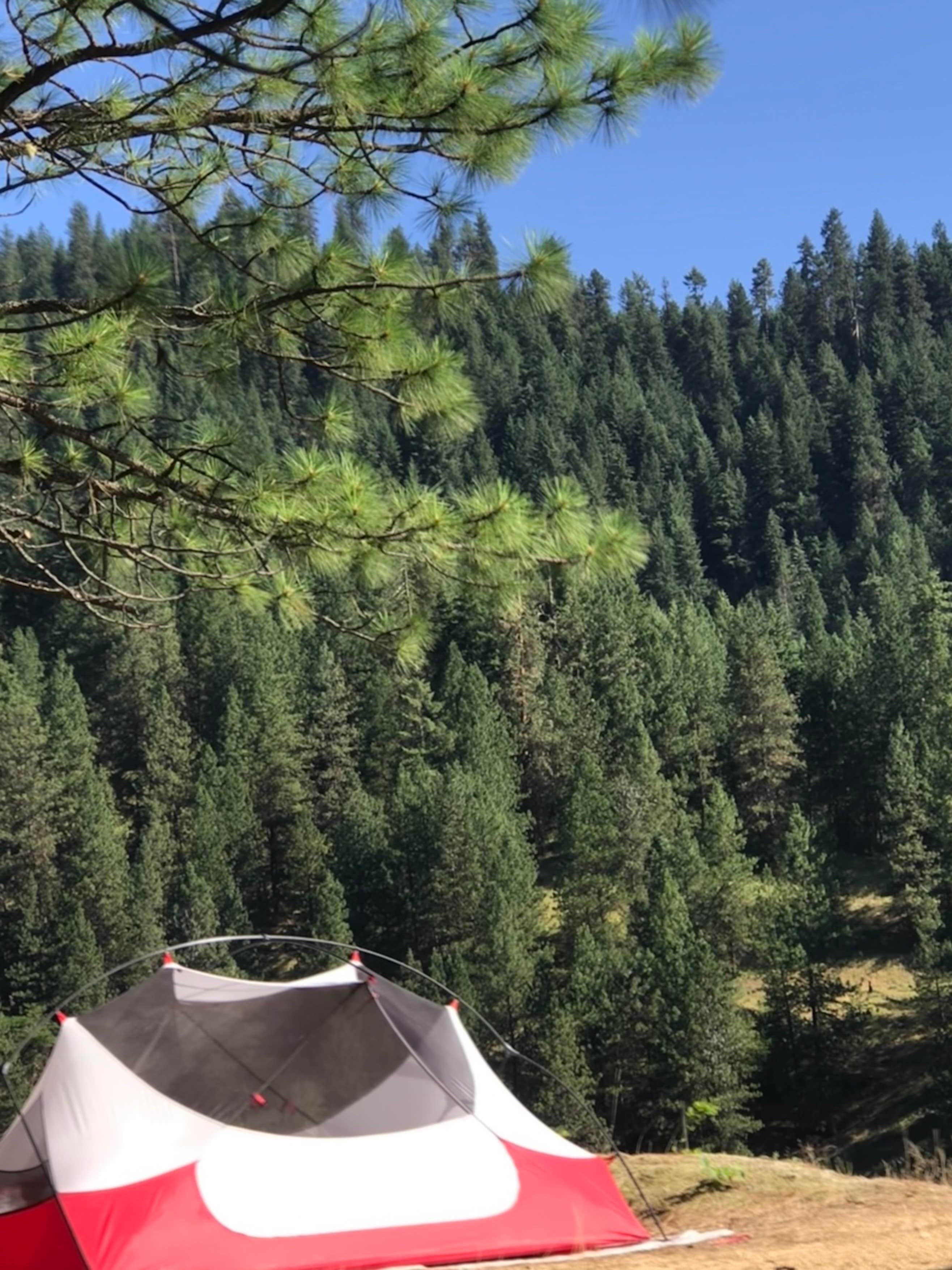 Rachel A.'s photo of tent camping at Mini camp 4.7 near Moscow, ID
