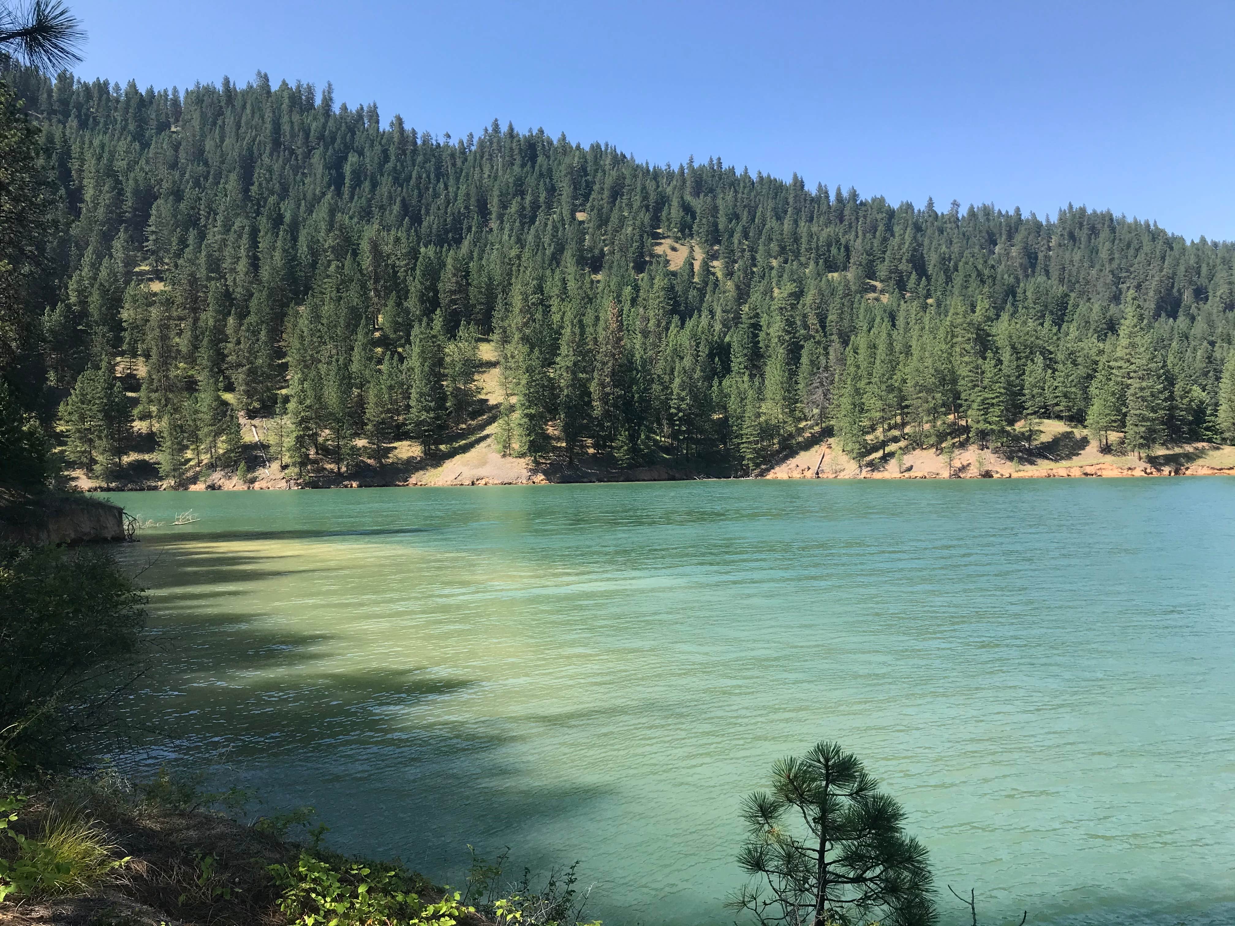 Camper-submitted photo at Mini camp 4.7 near Moscow, ID