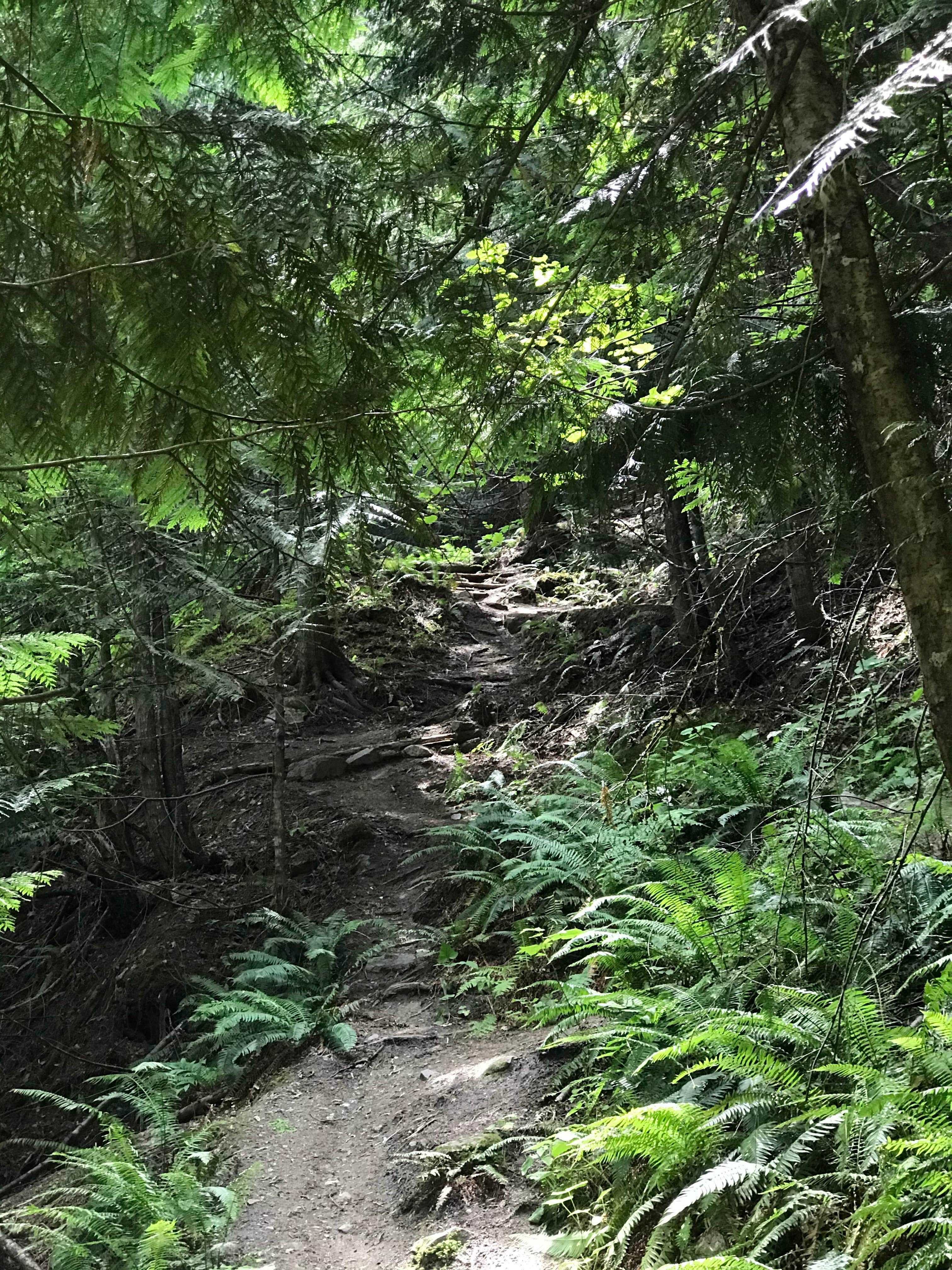 Camper-submitted photo at Mini Camp 3.5 near Juliaetta, ID