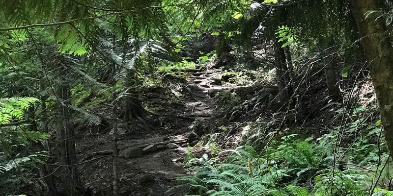 Camper submitted image from Mini Camp 3.5