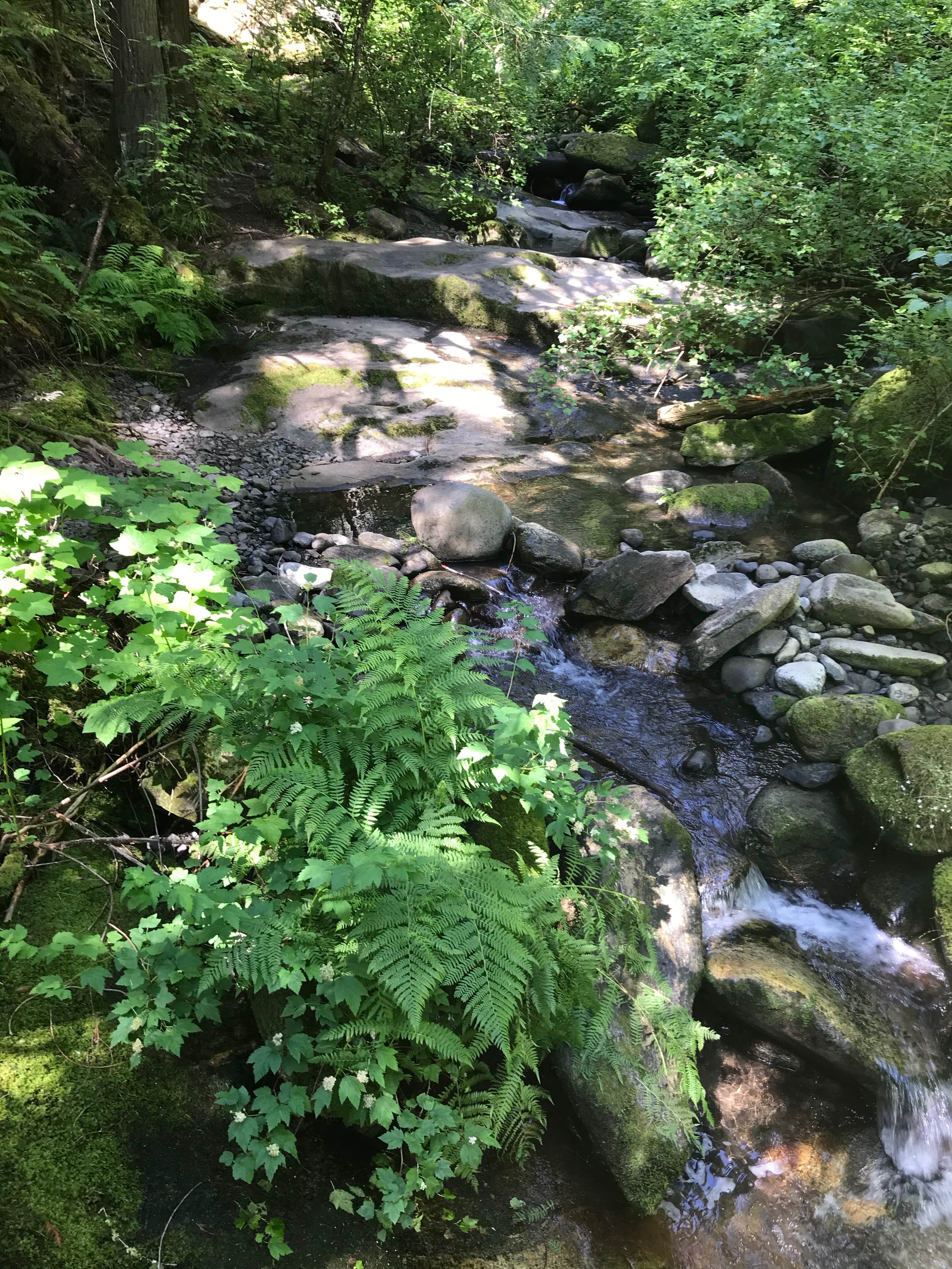 Camper-submitted photo at Mini Camp 4.8 near Moscow, ID