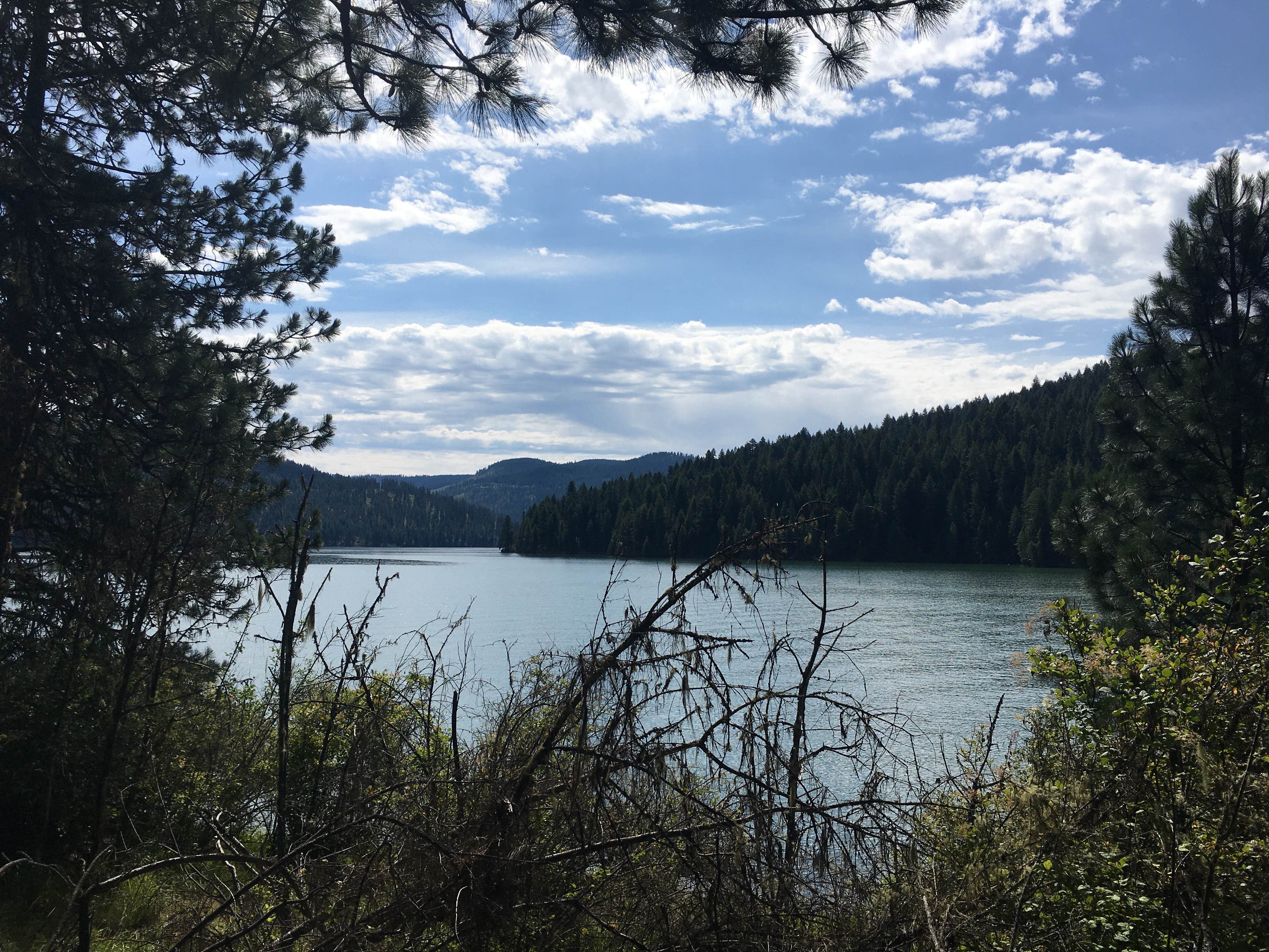 Camper-submitted photo at Mini Camp 4.8 near Moscow, ID