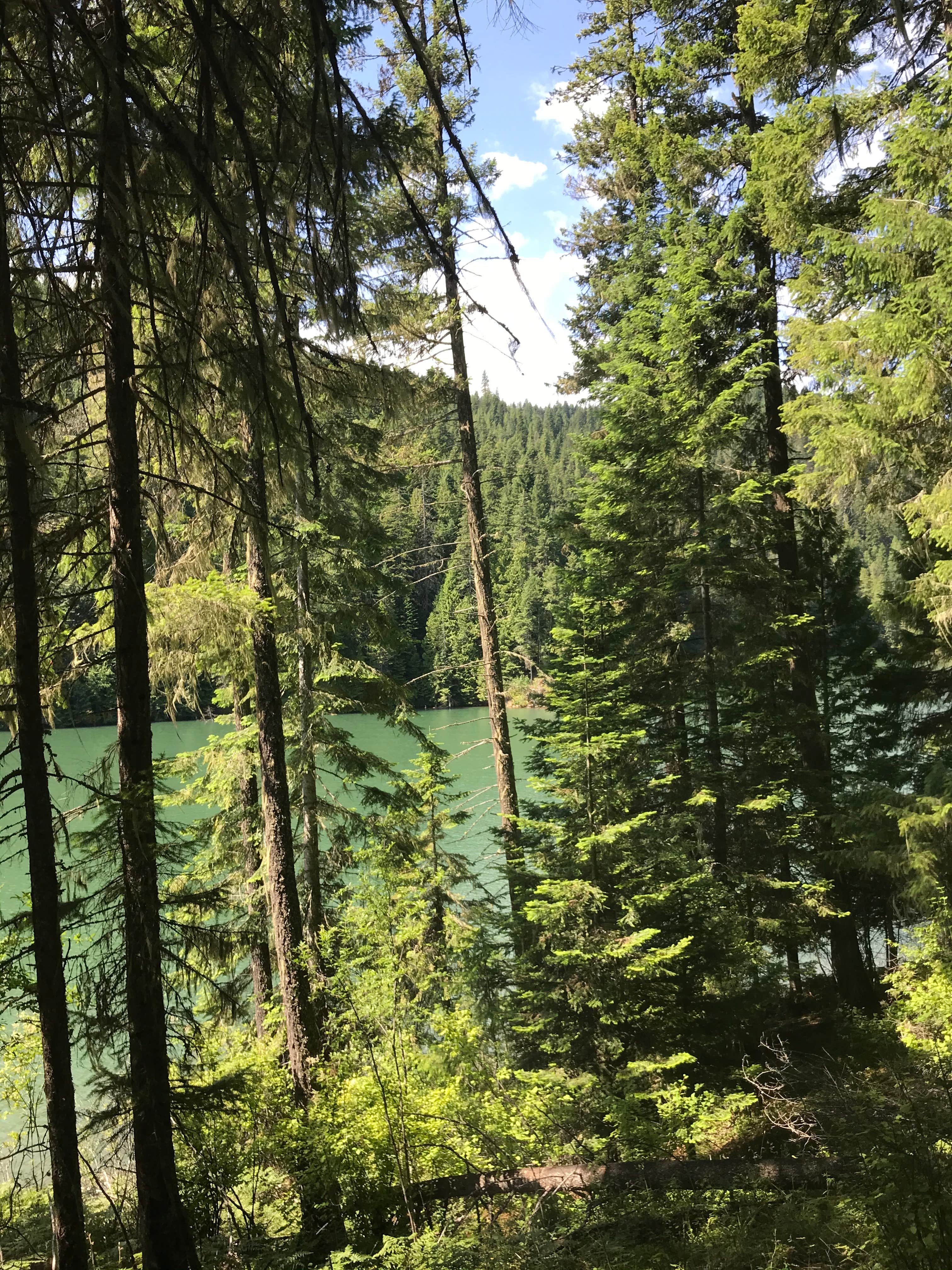 Camper-submitted photo at Mini Camp 4.8 near Moscow, ID