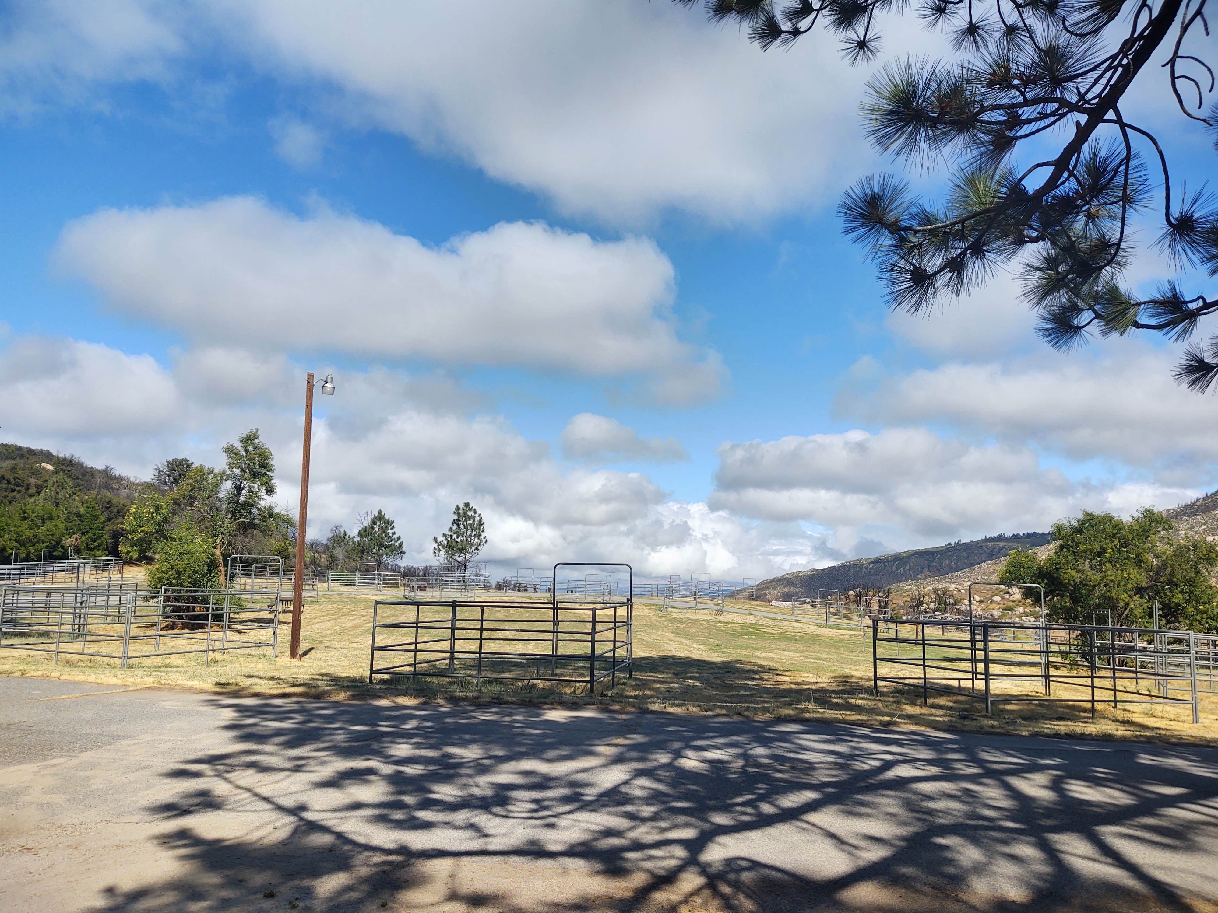 Camping near Idyllwild Campground — Mount San Jacinto State Park: McCall Equestrian Park, Mountain Center, California