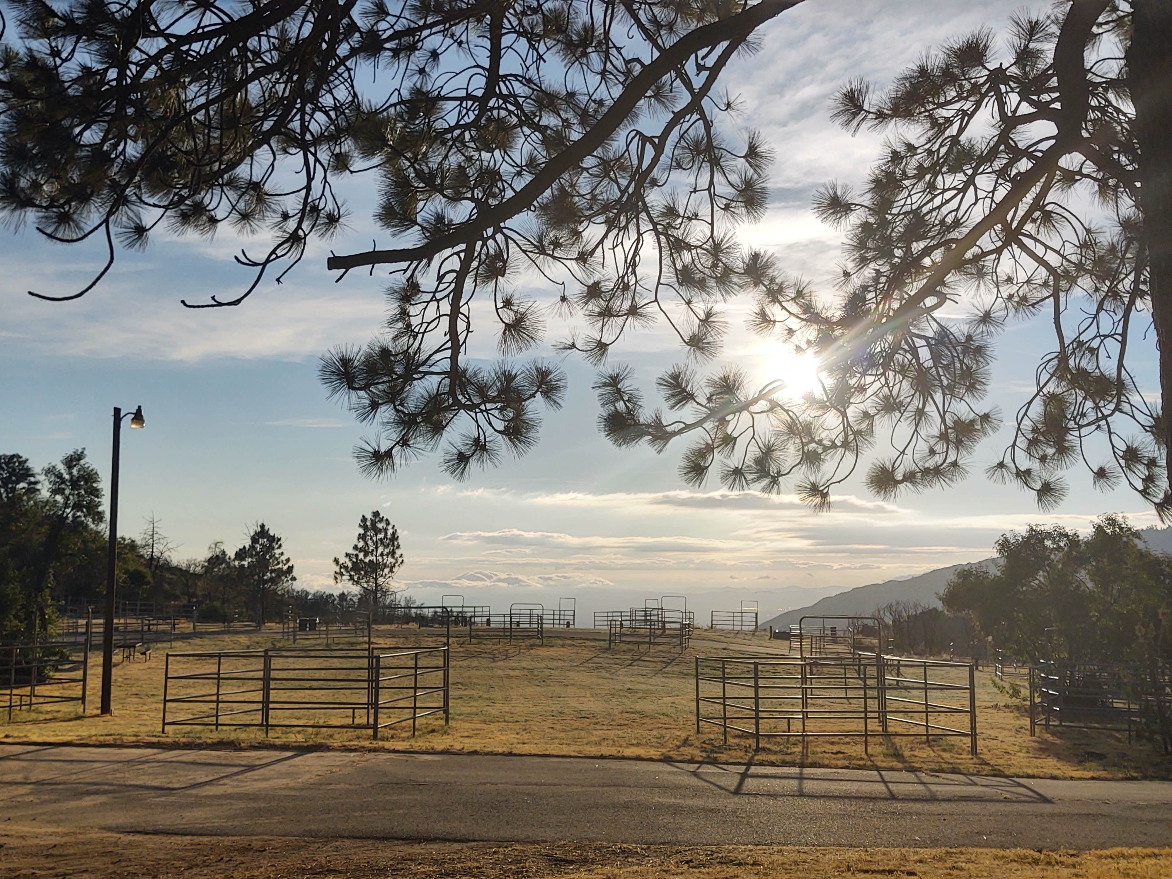 Camper submitted image from McCall Equestrian Park - 2