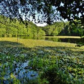 Review photo of Pocahontas State Park Campground by Myron C., July 6, 2020