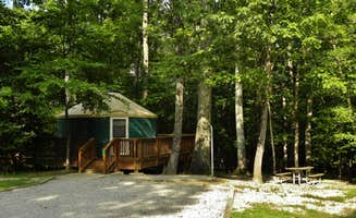 Myron C.'s photo of glamping accommodations at Pocahontas State Park Campground near Ruther Glen, VA