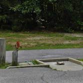 Review photo of Pocahontas State Park Campground by Myron C., July 6, 2020