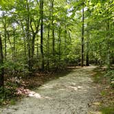 Review photo of Pocahontas State Park Campground by Myron C., July 6, 2020