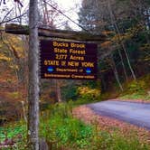 Review photo of Bucks Brook State Forest Primitive Tent Site by Janet R., December 1, 2017