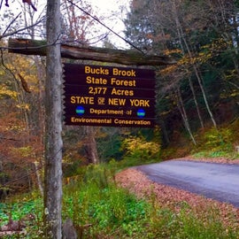 Entering Bucks Brook state firest, near the trailhead fir the ridge traik