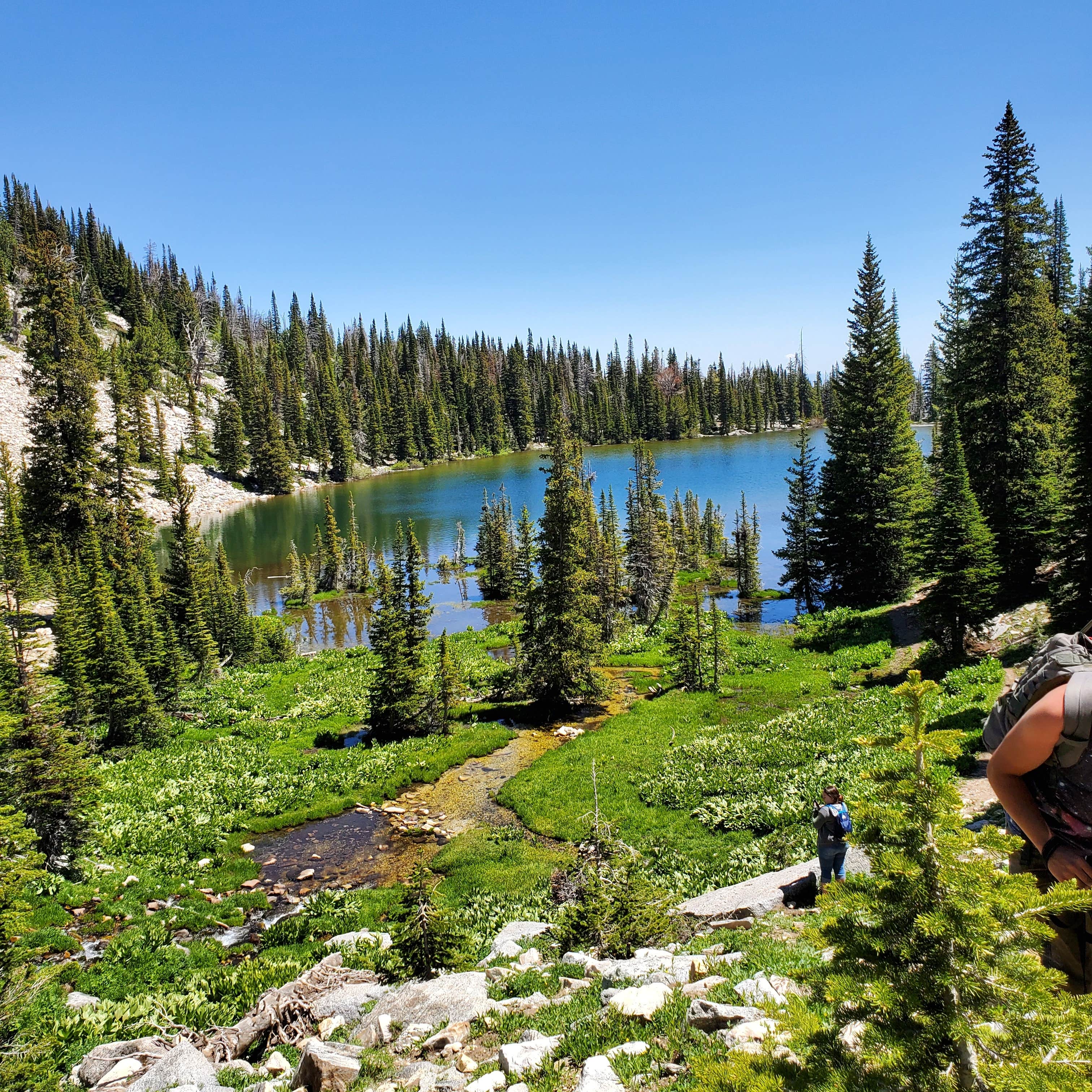 Escape To The Wilderness: A Guide To Idaho’s Independence Lakes Campground