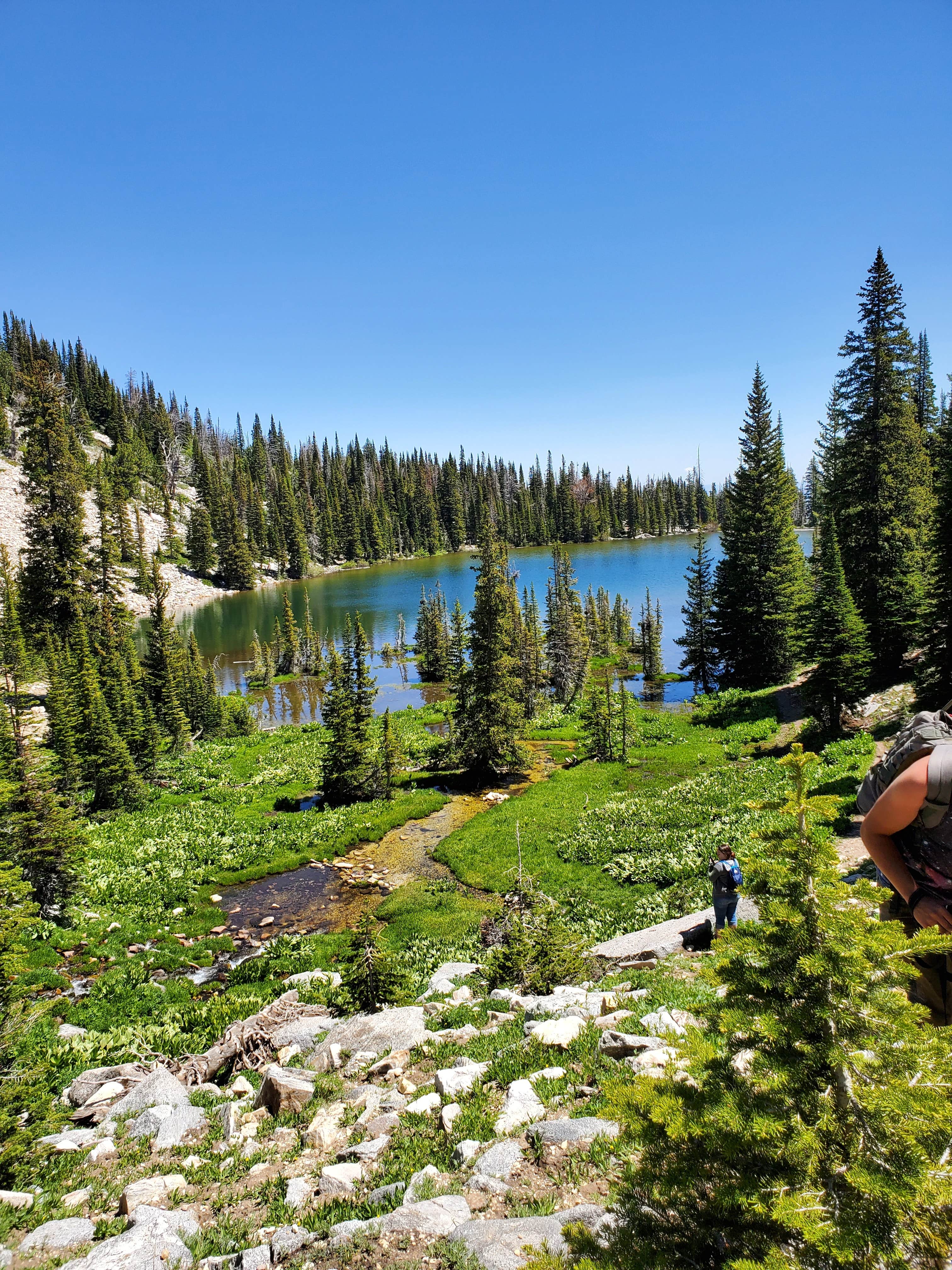 Camper submitted image from Independence Lakes Campground - 5