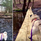 Review photo of Bucks Brook State Forest Primitive Tent Site by Janet R., December 1, 2017
