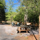 Review photo of Bear Den Mountain Resort by Lori H., July 6, 2020