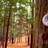 Review photo of Bucks Brook State Forest Primitive Tent Site by Janet R., December 1, 2017
