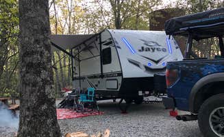Lori H.'s photo at Spacious Skies Bear Den near Spruce Pine, NC
