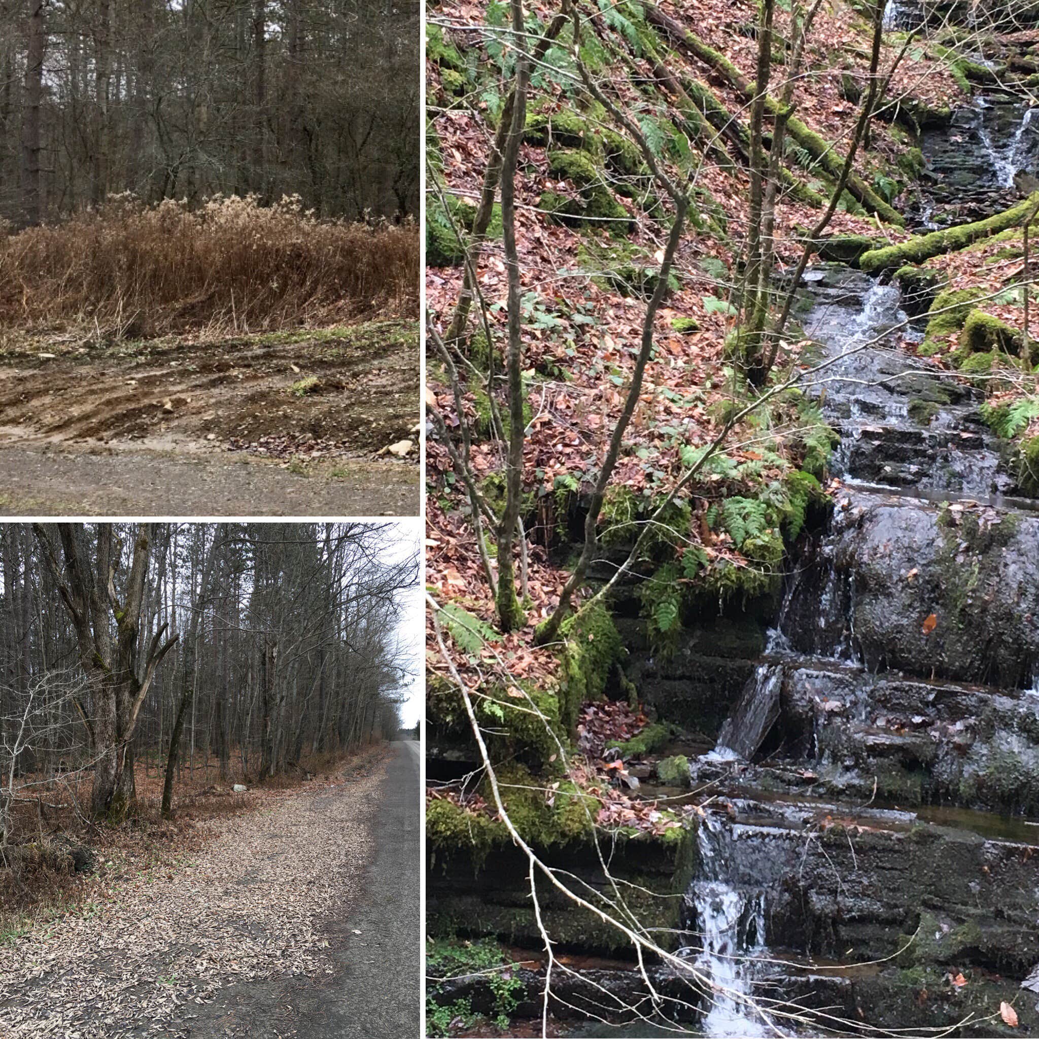Camper-submitted photo at Bucks Brook State Forest Primitive Tent Site near Syracuse, NY