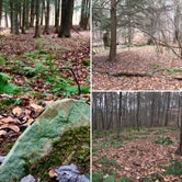 Review photo of Bucks Brook State Forest Primitive Tent Site by Janet R., December 1, 2017