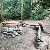 Review photo of Blue Heron Campground — Big South Fork National River and Recreation Area by Lori H., July 6, 2020