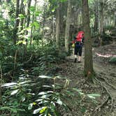 Review photo of Blue Heron Campground — Big South Fork National River and Recreation Area by Lori H., July 6, 2020