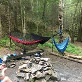 Review photo of Blue Heron Campground — Big South Fork National River and Recreation Area by Lori H., July 6, 2020