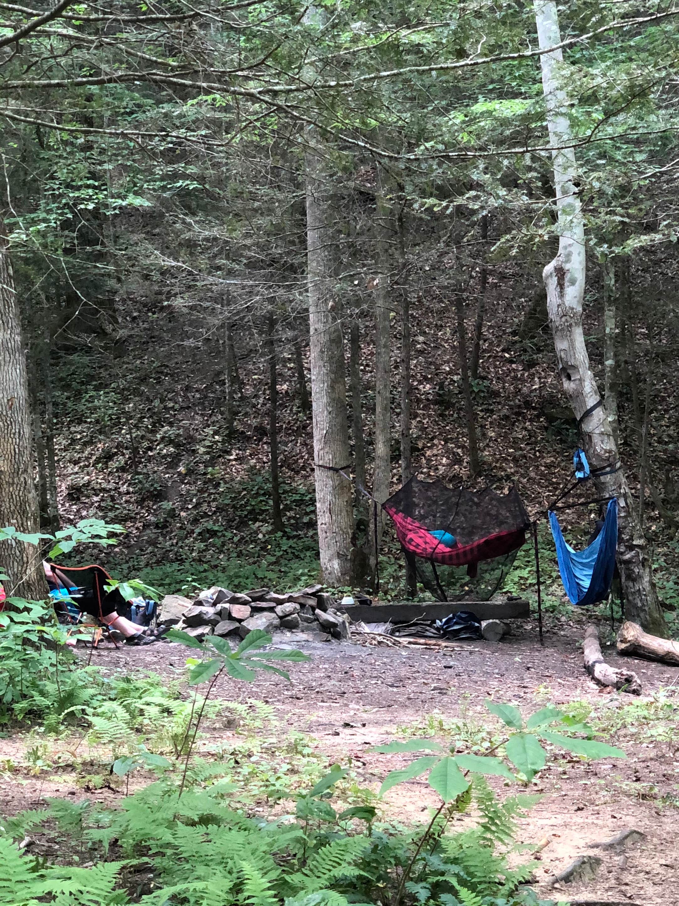 Lori H.'s photo at Blue Heron Campground — Big South Fork National River and Recreation Area near Big South Fork National River and Recreation Area
