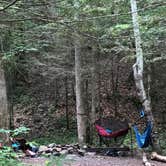 Review photo of Blue Heron Campground — Big South Fork National River and Recreation Area by Lori H., July 6, 2020