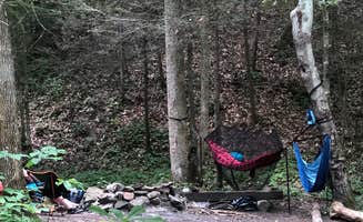 Lori H.'s photo at Blue Heron Campground — Big South Fork National River and Recreation Area near Revelo, KY