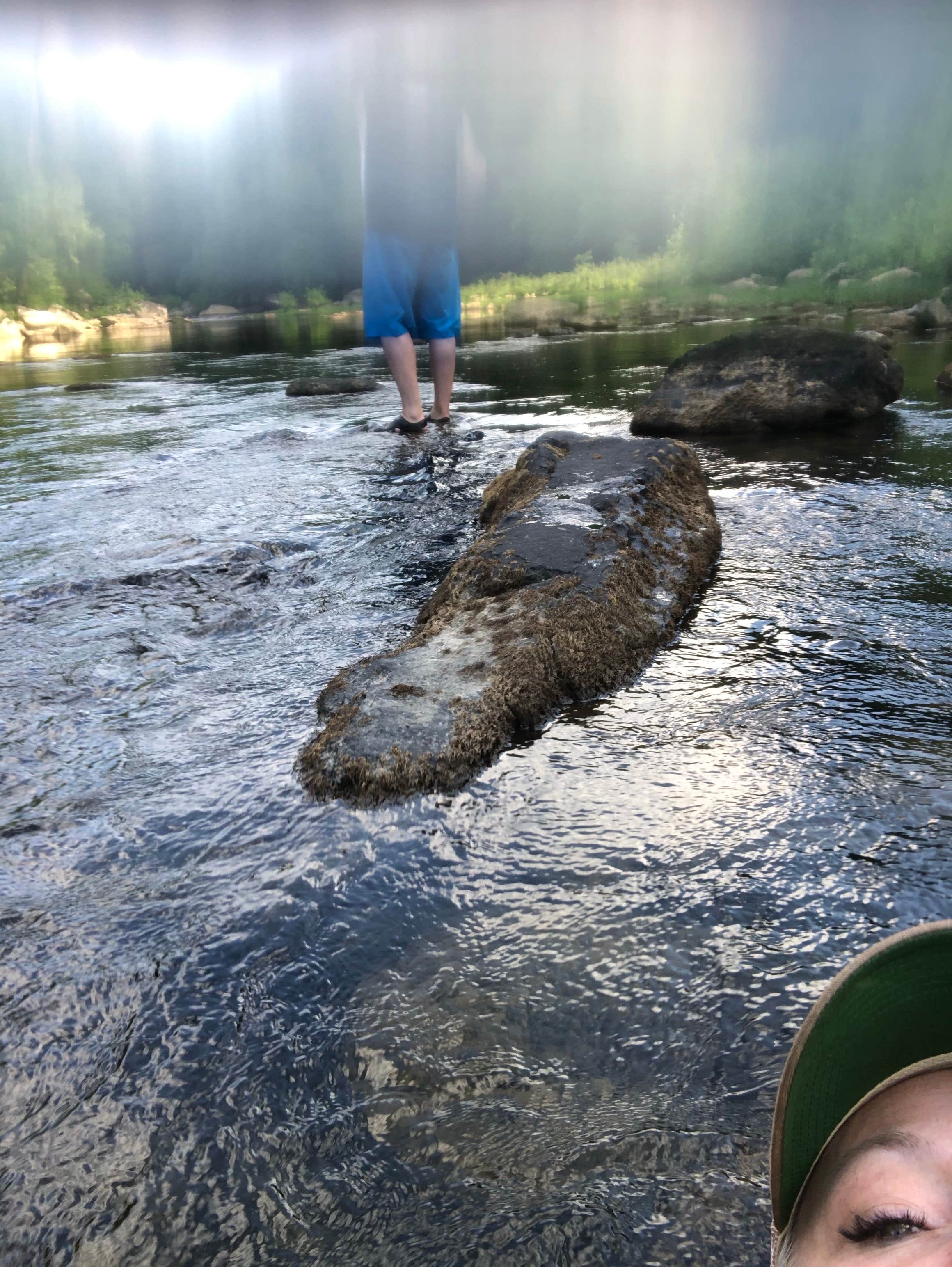Lori H.'s photo of camping with pets at Blue Heron Campground — Big South Fork National River and Recreation Area near Helenwood, TN