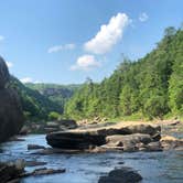 Review photo of Blue Heron Campground — Big South Fork National River and Recreation Area by Lori H., July 6, 2020