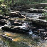 Review photo of Turnipseed Campground by Jeremy M., July 5, 2020