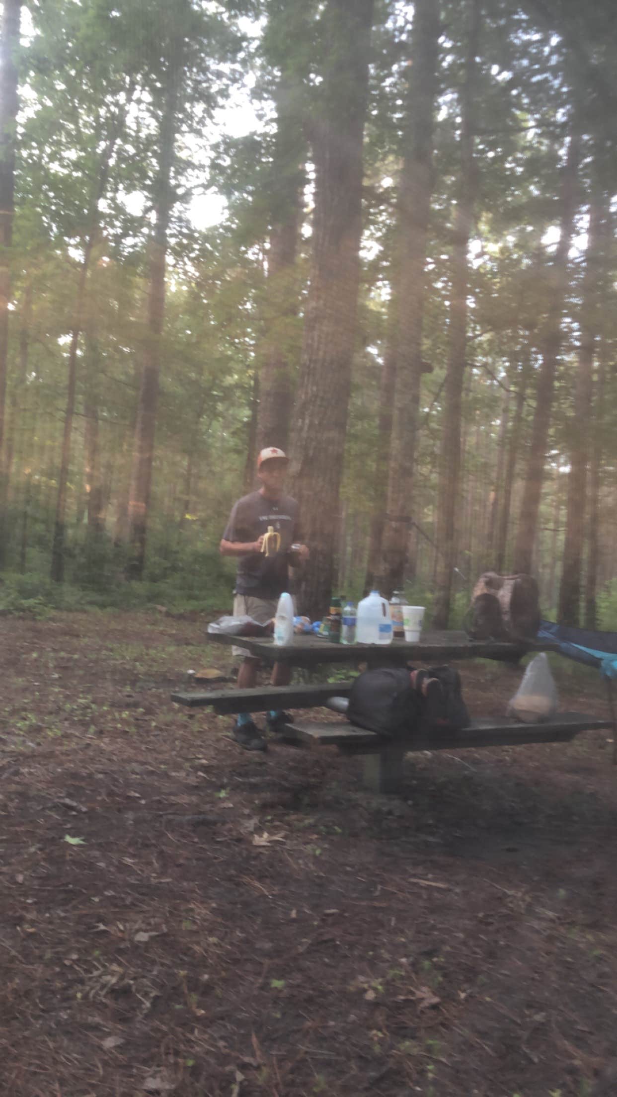 Jeremy M.'s photo at Turnipseed Campground near Hollins, AL