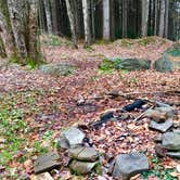 Review photo of Jackson Pond Tent Sites by Janet R., November 6, 2017