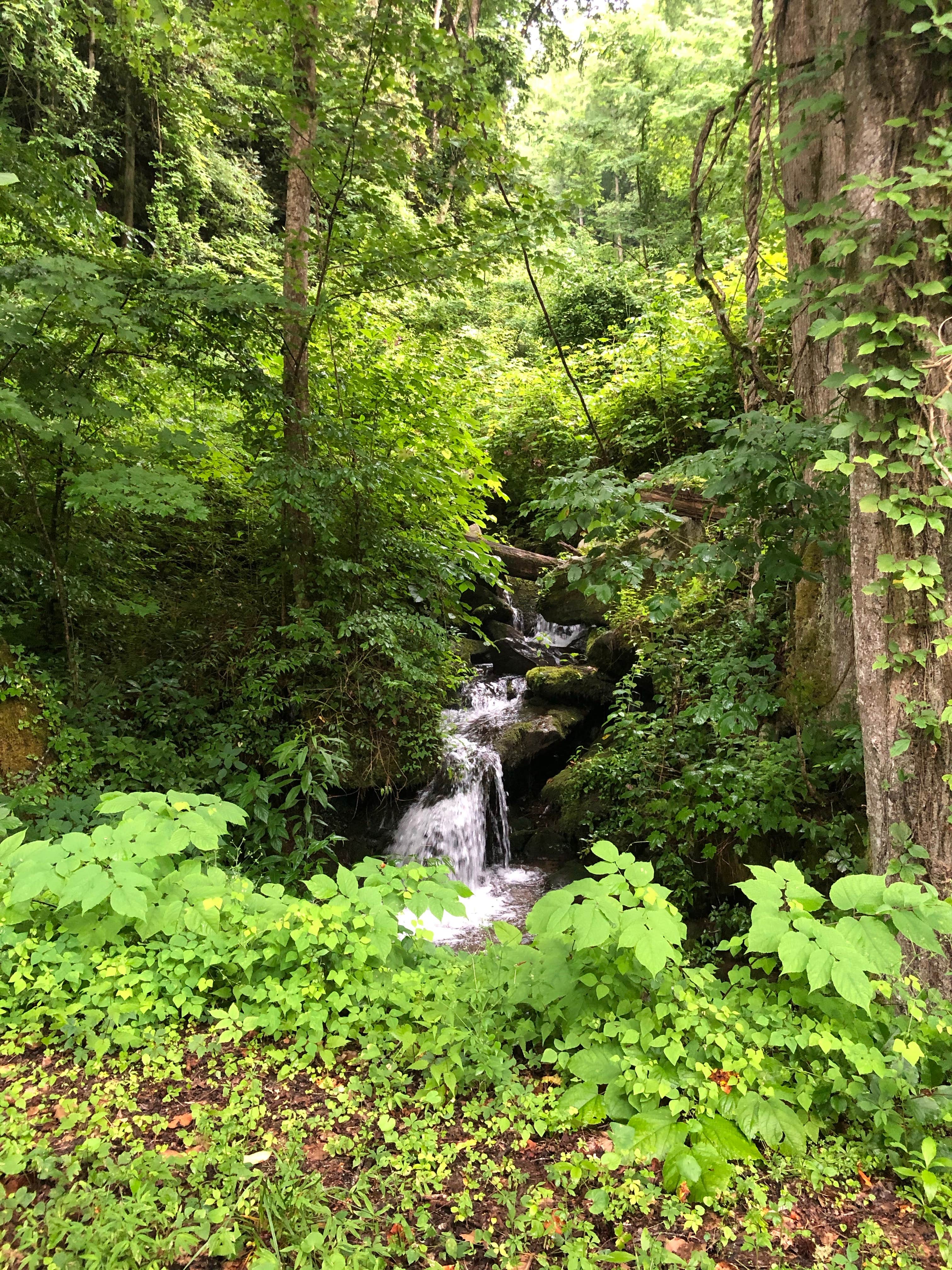 Camper-submitted photo at Fontana Village Resort and Campground near Robbinsville, NC