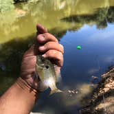 Review photo of Ramona Oaks RV Resort by Jesse C., July 6, 2020