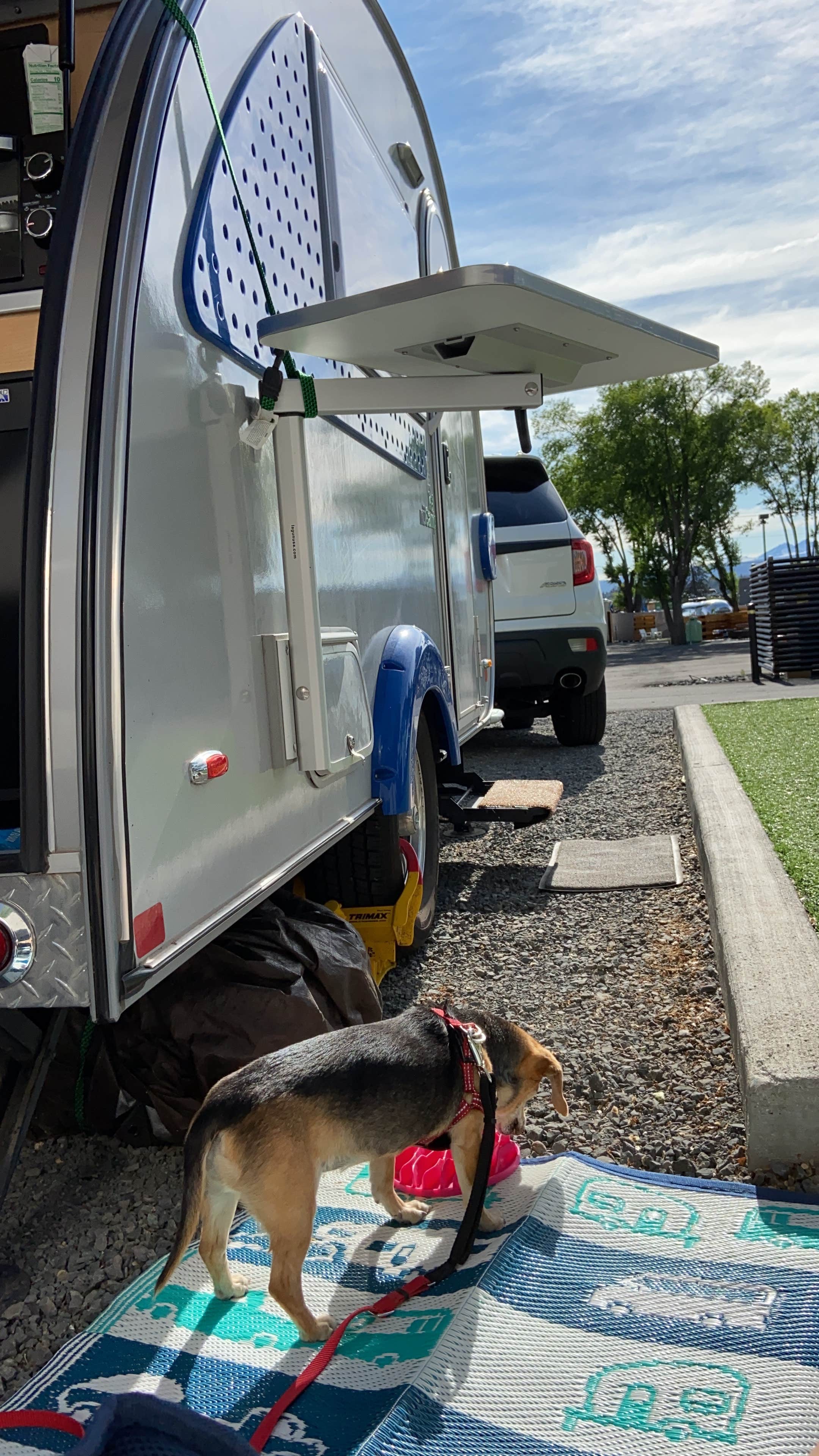 Vivi W.'s photo of camping with pets at The Camp near Bend, OR