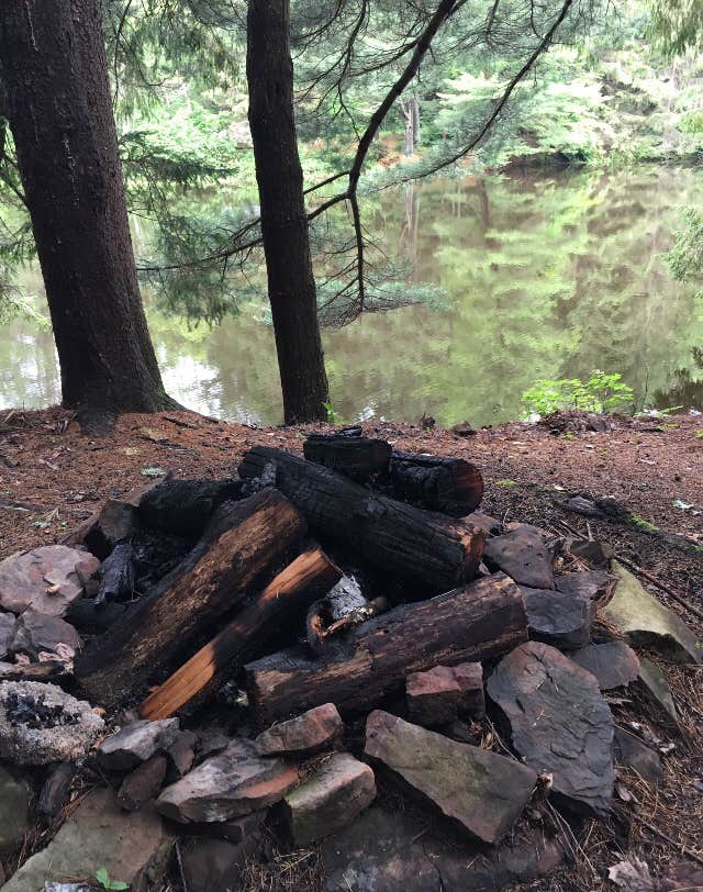 Camper-submitted photo at Pharsalia Y Pond near Marietta, NY