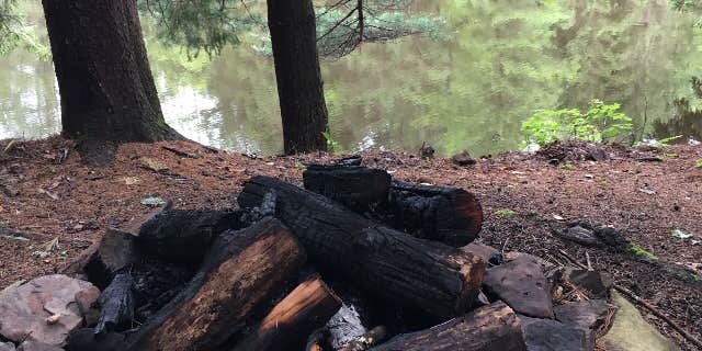 Camper submitted image from Pharsalia Y Pond