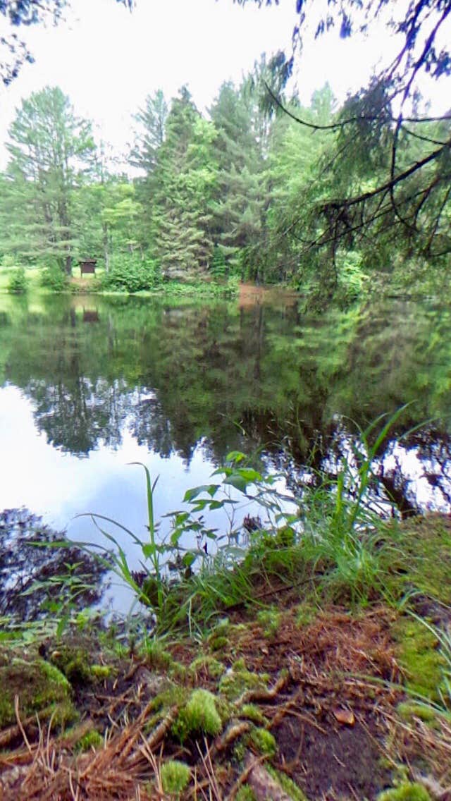 Camper-submitted photo at Pharsalia Y Pond near Marietta, NY