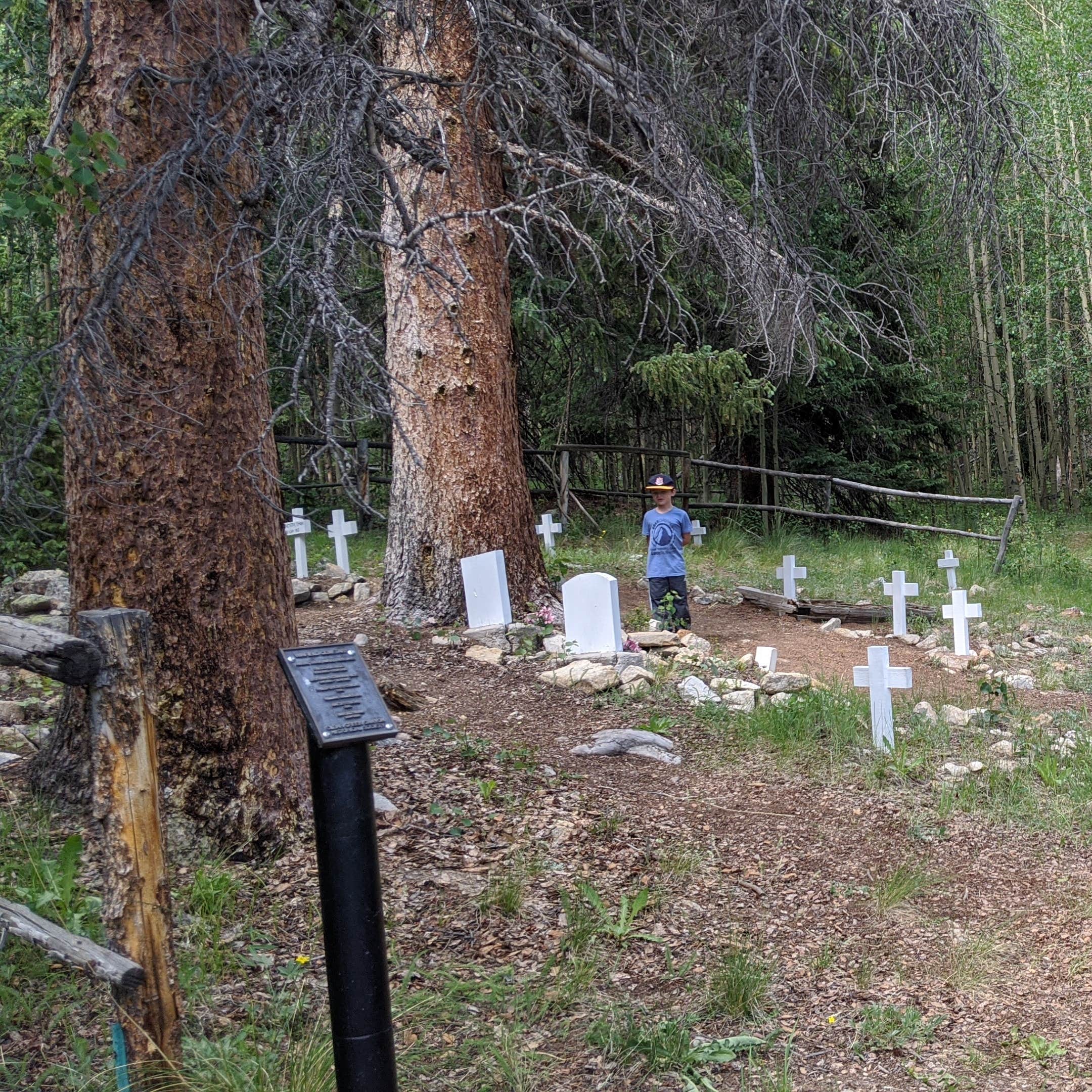 Winfield Camping Area Camping The Dyrt